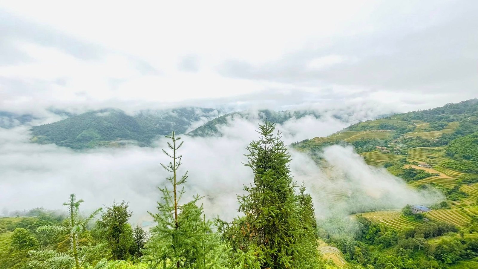 Northern Vietnam Biking Tour 7 Days